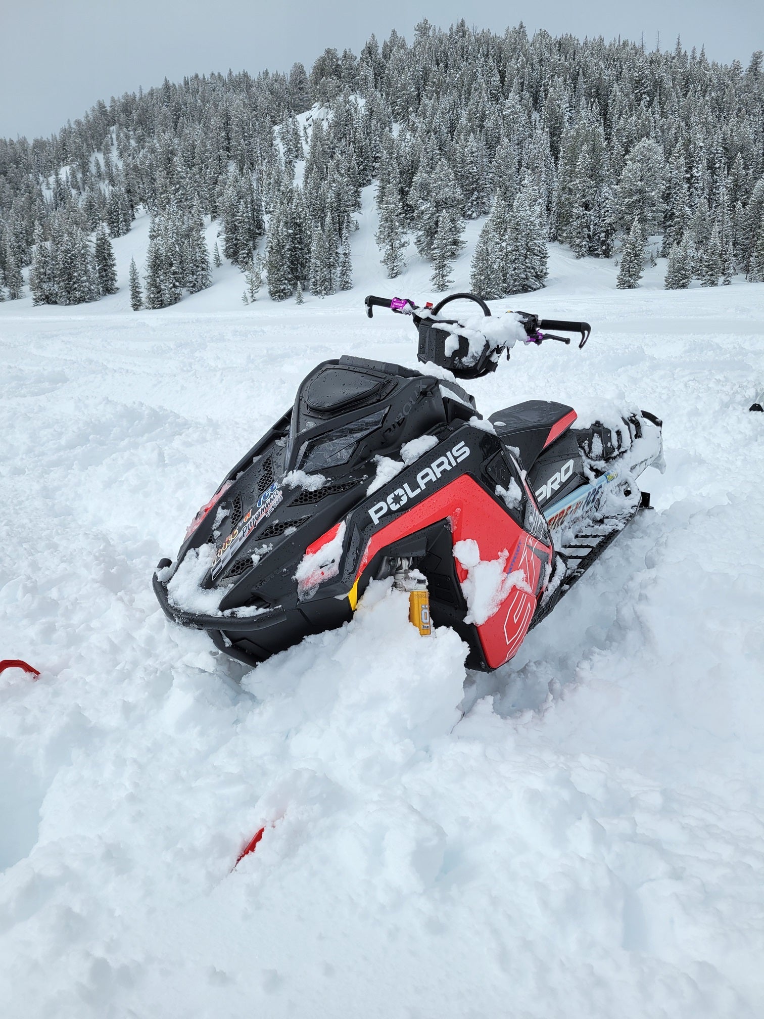 Caribou X Polaris Matryx Lightweight Hood - PRO – Force Turbos